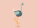 ostrich