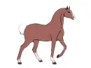 horse