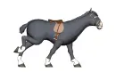 horse