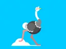 running ostrich