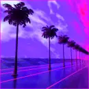 palms
