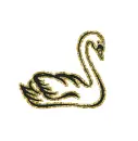 swan