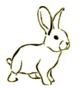 bunny