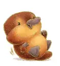 platypus