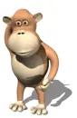 monkey
