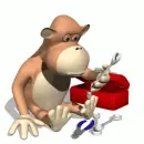 monkey