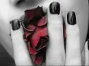 red rose