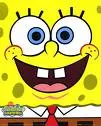 sponge