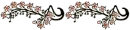 dividers