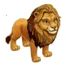 lion