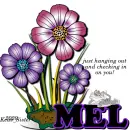 Mel - Just Checking In - Flowers - Cat