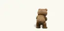 teddy bear shakes