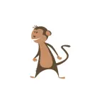 monkey