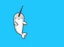 nerwhal