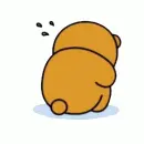 bear cry