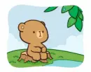 bear