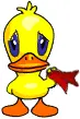 waving duck