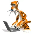 tiger with laptop