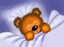 bear sleeping