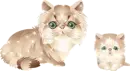 cats