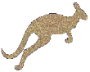 kangaroo