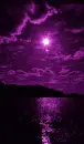 purple night