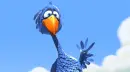 waving blue bird