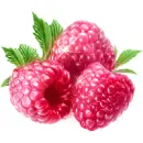 raspberry