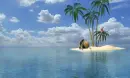 palms