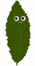 leaf