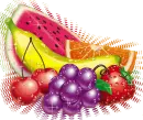 fruits