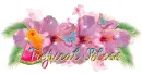 Tropical Bliss Divider