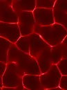 red color