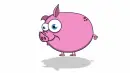 pig
