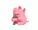 pig