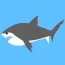 shark
