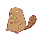 beaver drinking
