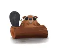 beaver