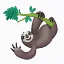 waving sloth