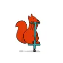 squirrel