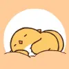 squirrel sleeping