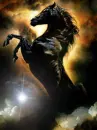 black horse