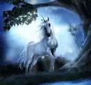 unicorn