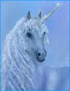 unicorn