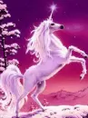 unicorn