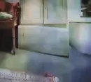 Flowing Cat