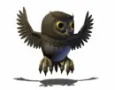 owl