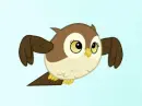 owl