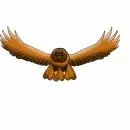 brown owl