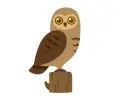 brown owl